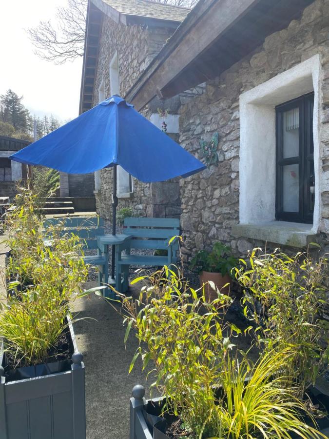 Kingsford Renovated Old Cottage 韦克斯福德 外观 照片